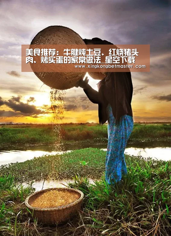 美食推荐：牛腱炖土豆、红烧猪头肉、烤实蛋的家常做法_星空下载